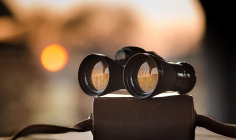 PROPERTY SEARCH